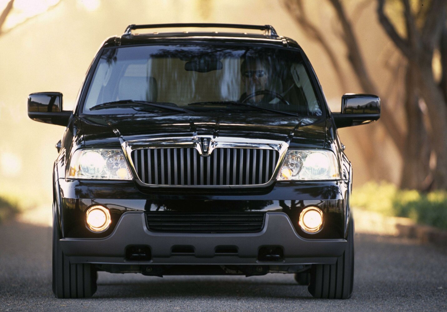 Lincoln Navigator II, 2006, фото 6