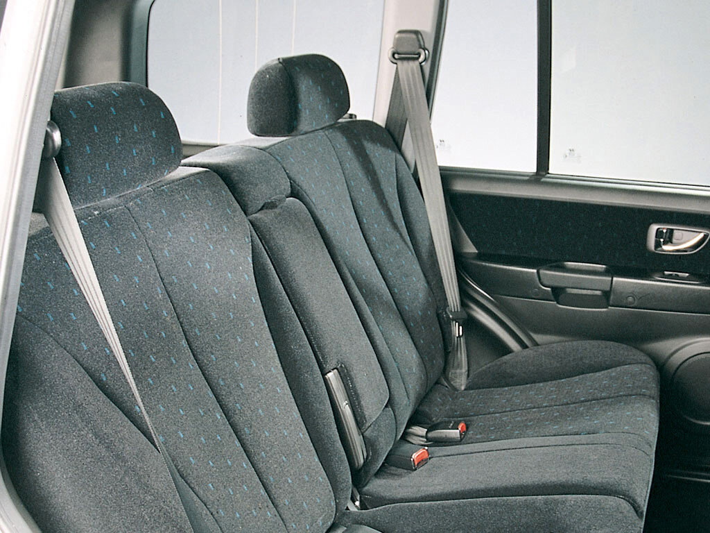 Hyundai Terracan I, 2001, фото 2