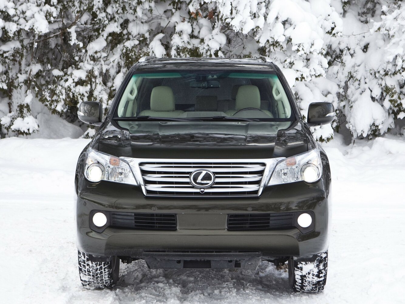 Lexus GX II, 2009, фото 15