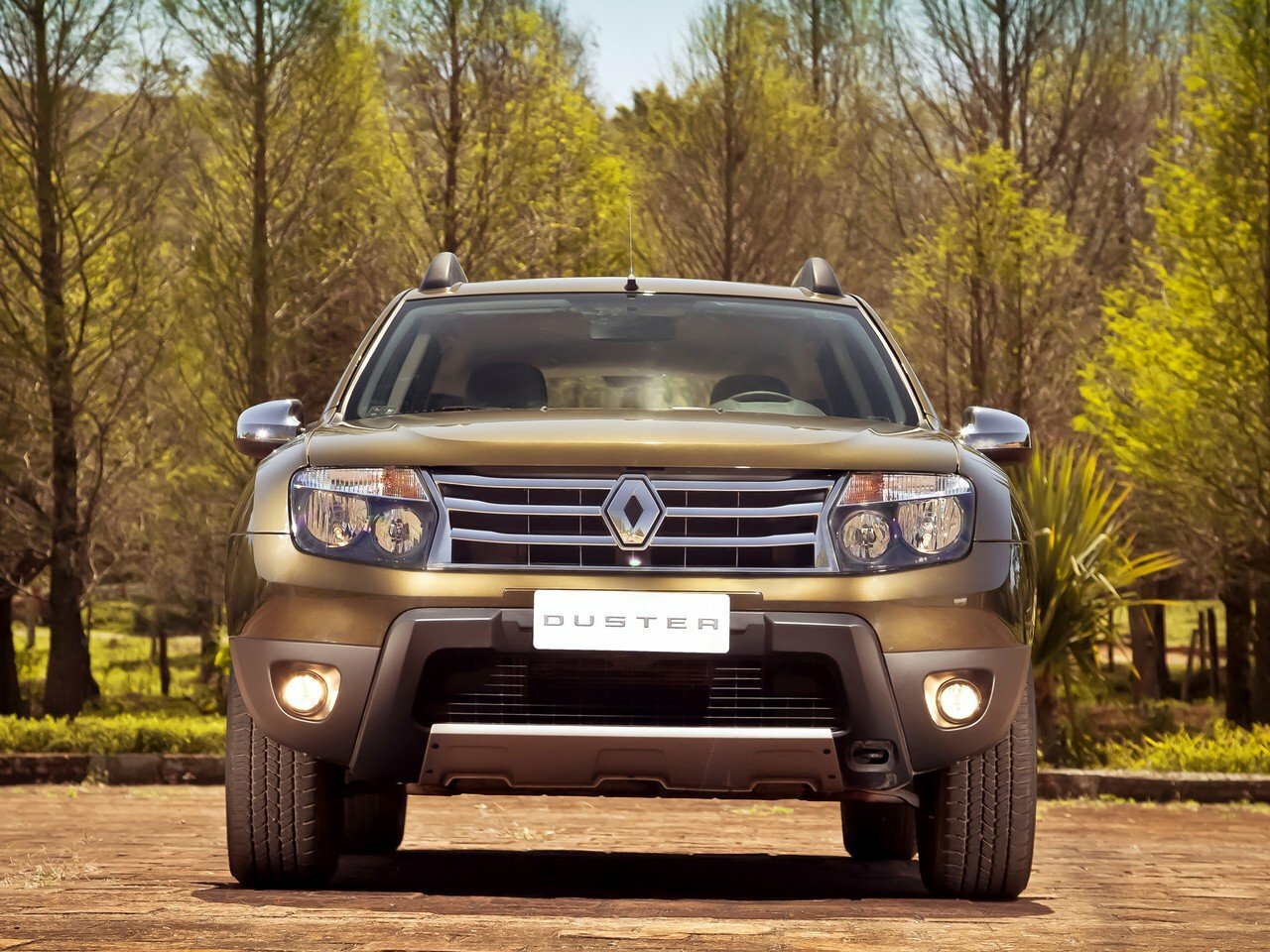 Renault Duster I, 2013, фото 10