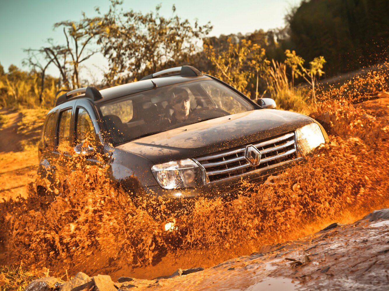 Renault Duster I, 2013, фото 9