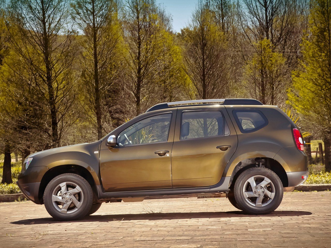 Renault Duster I, 2013, фото 5