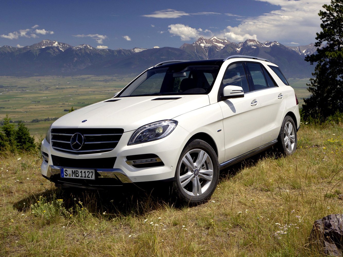 Mercedes-Benz M-Класс III (W166), 2015, фото 1