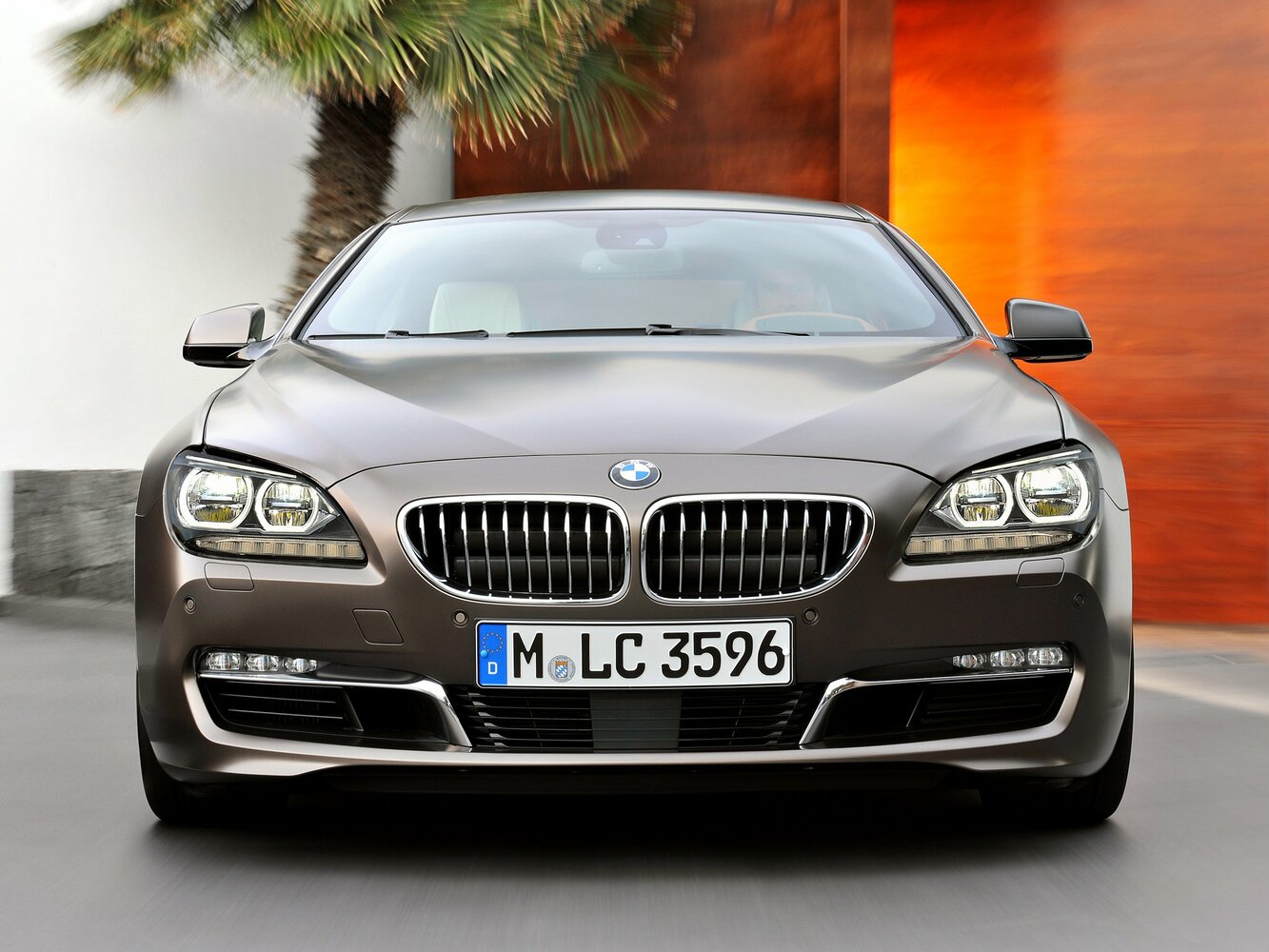 BMW 6 series III (F06/F13/F12), 2014, фото 11
