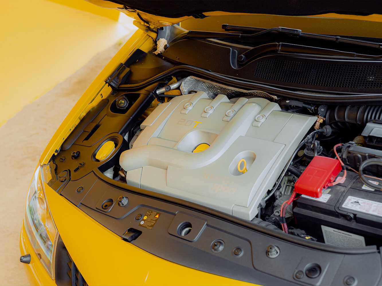 Renault Megane RS II Рестайлинг, 2008, фото 8