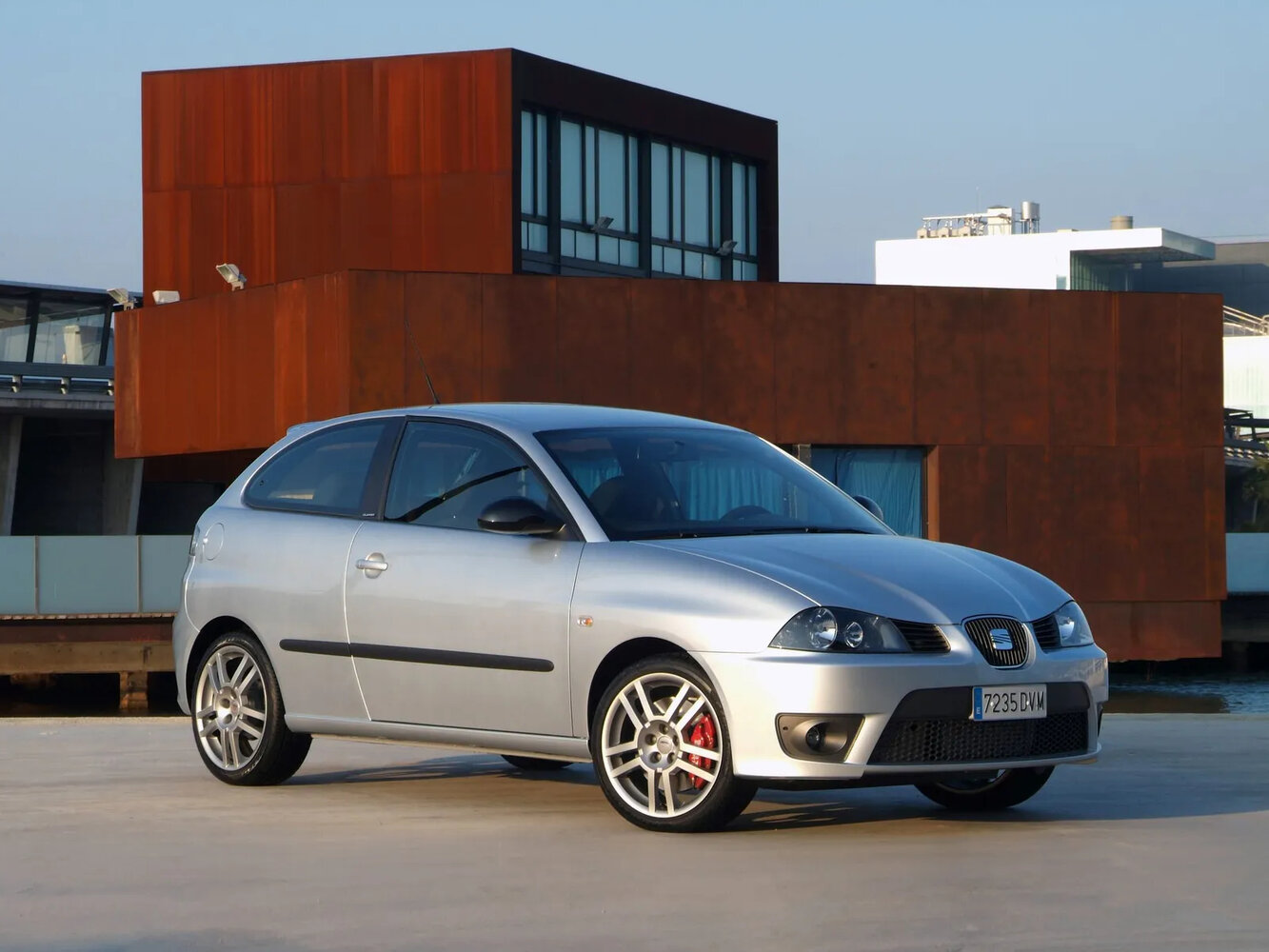 SEAT Ibiza Cupra III, 2007, фото 2