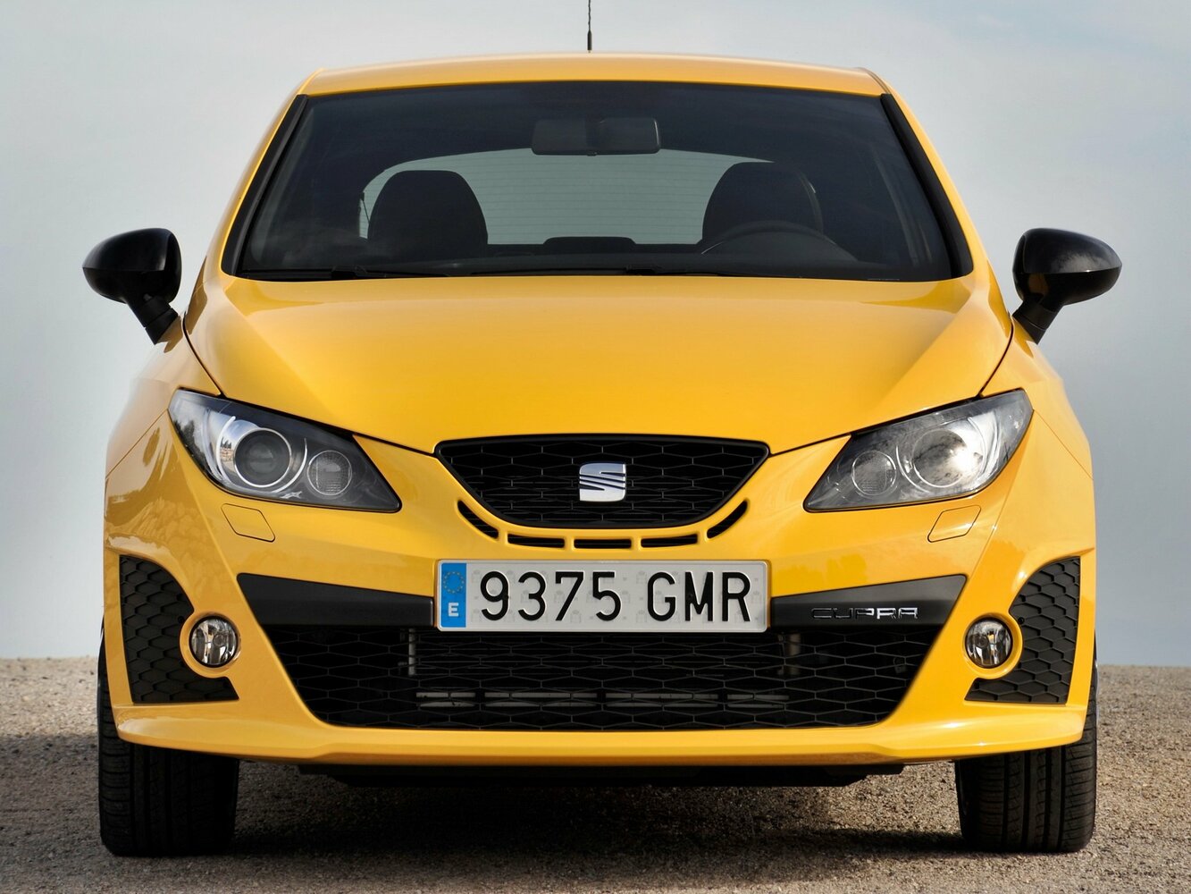 SEAT Ibiza Cupra IV, 2009, фото 5