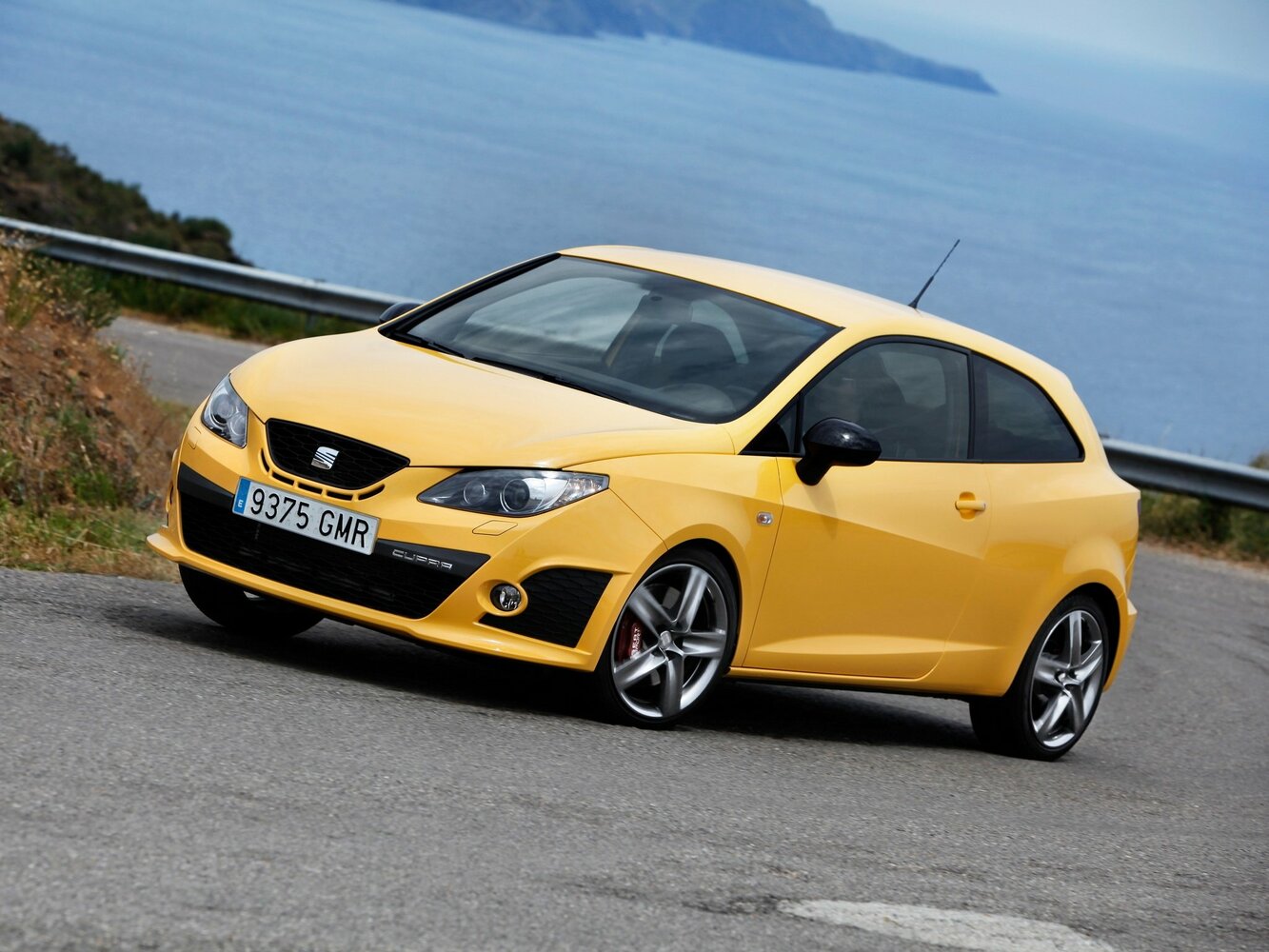 SEAT Ibiza Cupra IV, 2009, фото 3