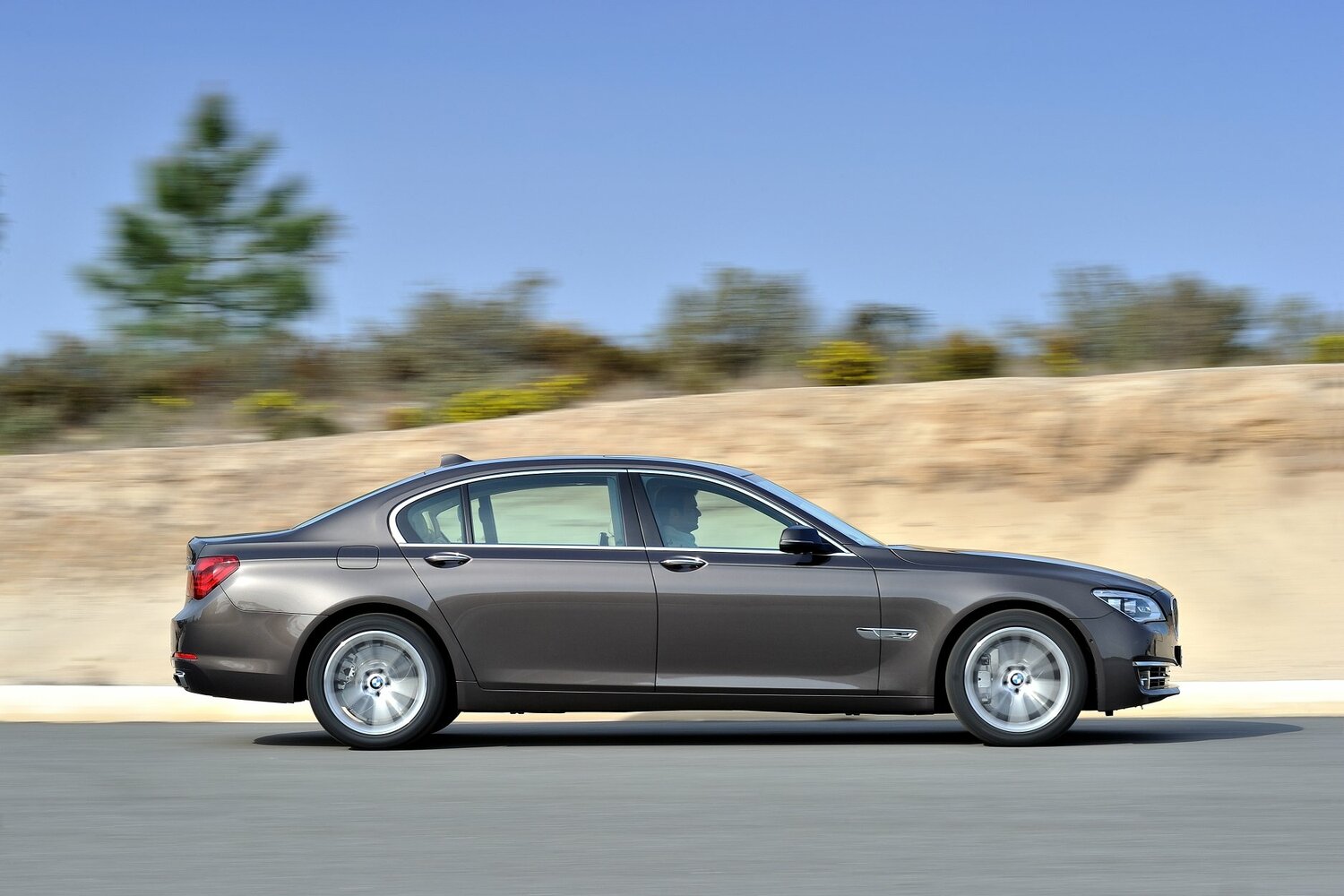 BMW 7 series V (F01/F02/F04) Рестайлинг, 2015, фото 18
