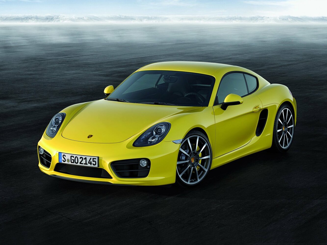 Porsche Cayman II (981), 2014, фото 13