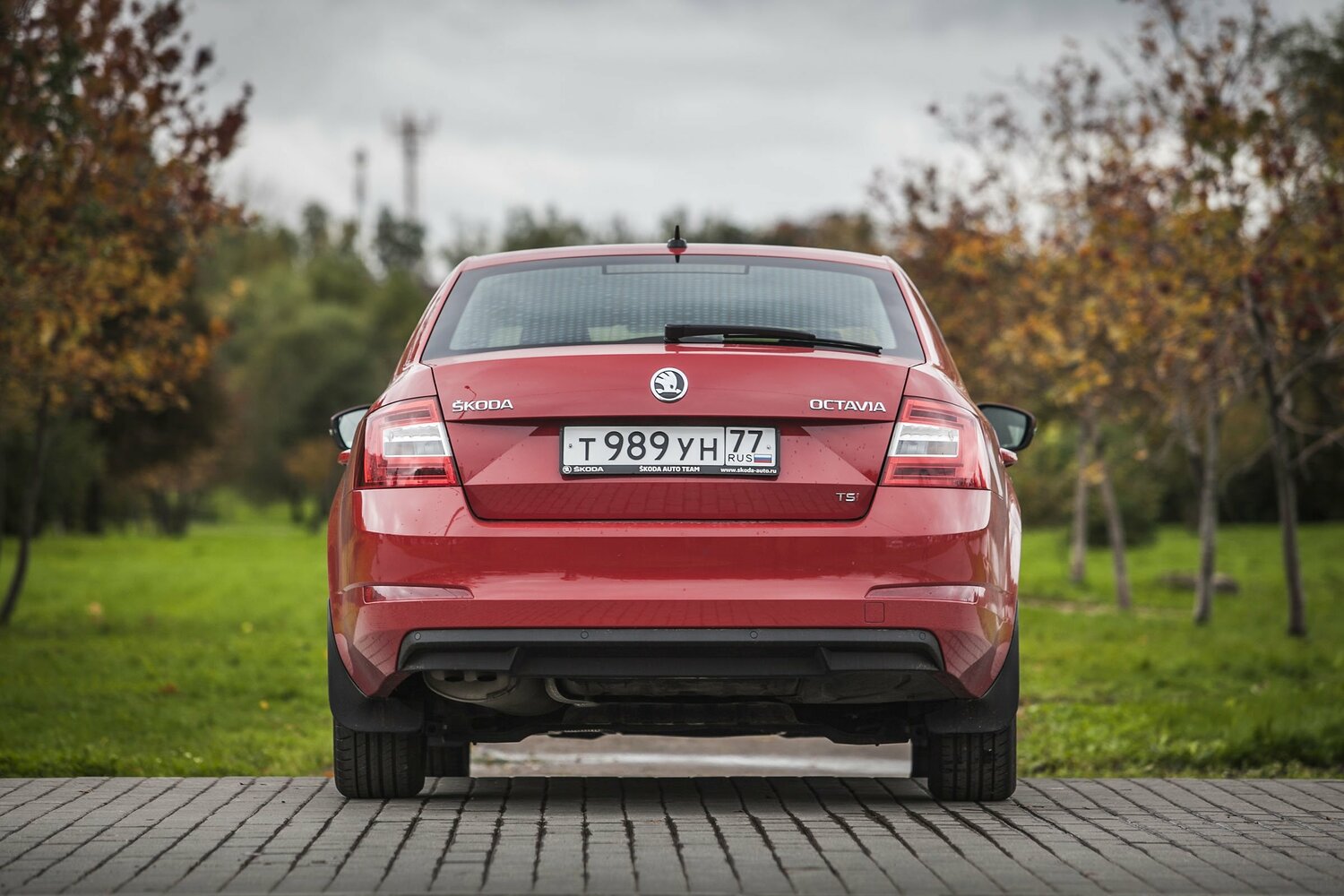 Skoda Octavia III (A7), 2013, фото 2