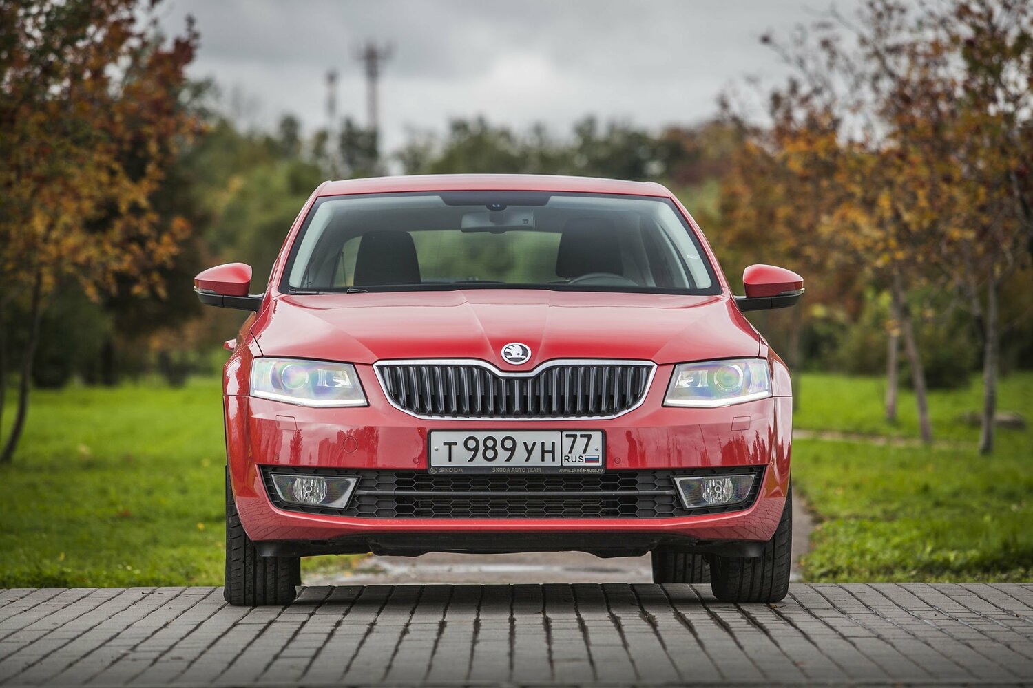 Skoda Octavia III (A7), 2013, фото 29